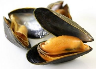 cozze spagnole