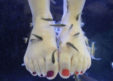 fisch pedicure