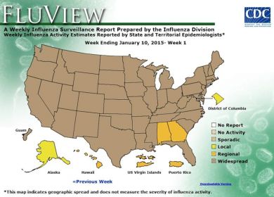 mappa influenza stati uniti