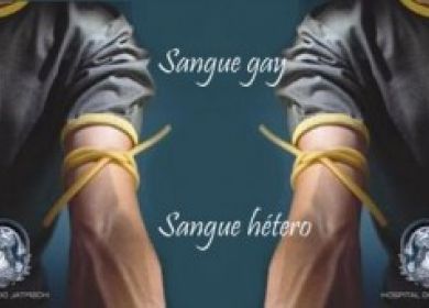 donatore sangue gay