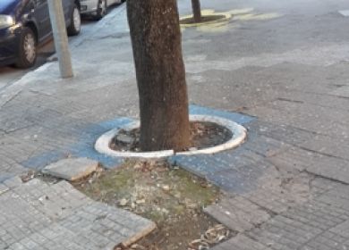 viale o. quarta