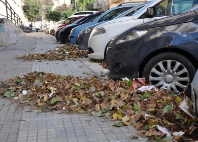 foglie via del delfino e via leuca