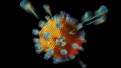 virus HIV