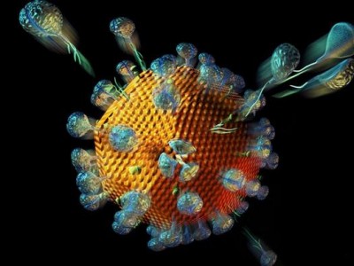 virus HIV