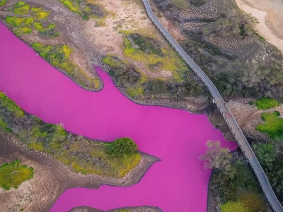 L’acqua è diventata improvvisamente rosa, ma nessuno sa perché