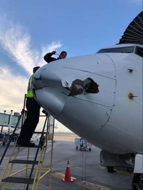 Scontro fra aereo in atterraggio e drone. Nessun ferito ma solo danni al velivolo