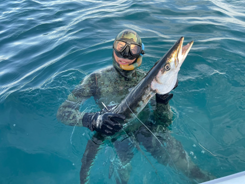 Lecce, pescato barracuda di oltre 8 kg