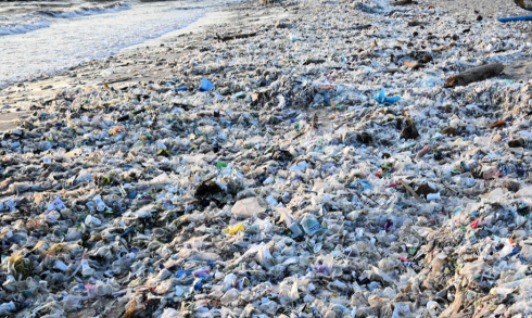 Una marea di plastica spiaggiata lungo la costa di Bali fa inorridire i turisti. Il video