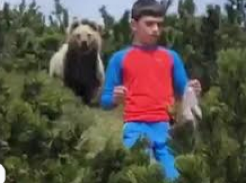 Incontro finito bene tra un orso ed un bambino in Trentino a Sporminore. 