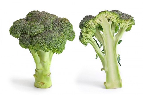 broccoli