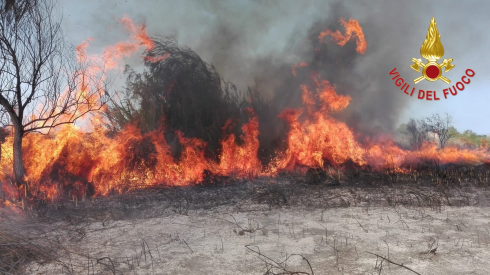 Brucia l’oasi e riserva naturale Le Cesine: distrutti cento ettari di vegetazione – Il video