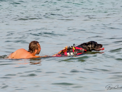 Achille il cane bagnino a San Cataldo