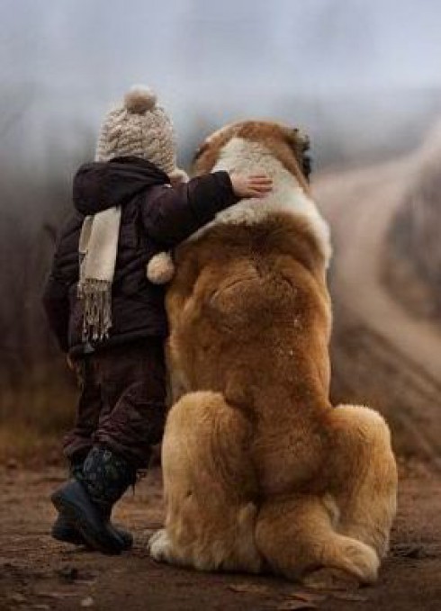 cane e bambino