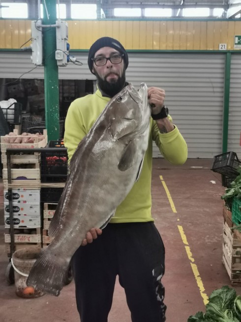 Pesca rara cernia bianca da record di 15 kg