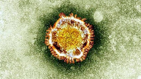 coronavirus