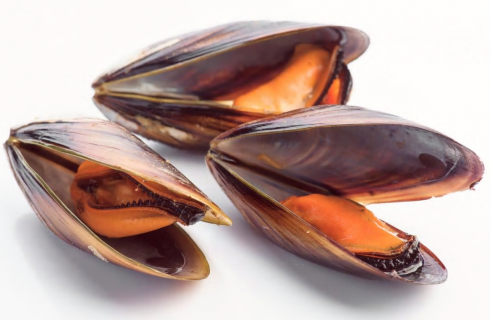 Allarme nazionale: cozze mediterranee dalla Spagna, confezionate in Italia, contaminate con Salmonella. 