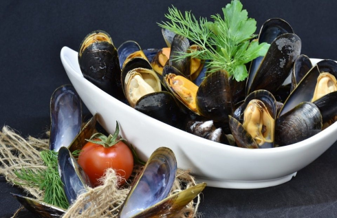 Cozze dalla Grecia contaminate da salmonella, allarme in Italia