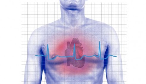 cuore battito cardiaco