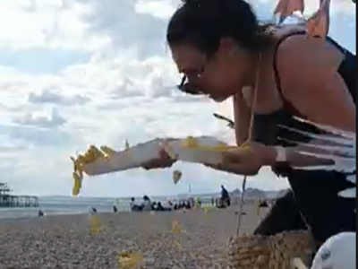 Gabbiani impazziscono per le patate fritte – VIDEO