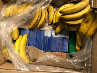 Droga nelle banane: per errore dal porto di Anversa 95 chili di cocaina finiscono nei supermercati Aldi in Germania