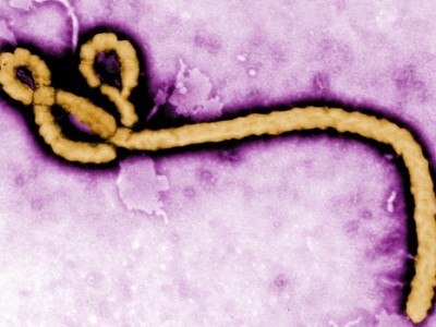 ebola