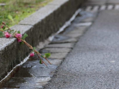 Violenze e abusi, choc in Svizzera: bimbo di 7 anni pugnalato a morte in mezzo alla strada. 