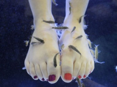 fisch pedicure