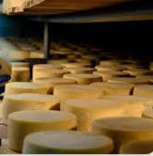 Il formaggio contaminato da listeria uccise sette persone, casaro condannato a 2 anni per omicidio colposo plurimo