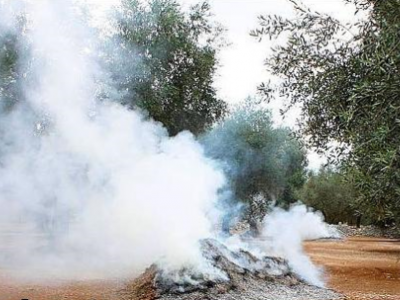 Incendi, fumo e ceneri, la periferia di Squinzano si è trasformata in una camera a gas