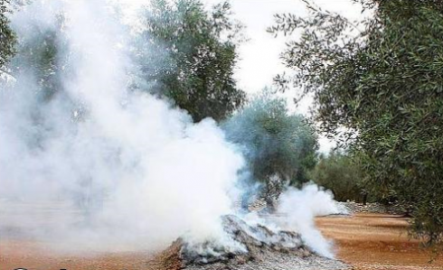 Incendi, fumo e ceneri, la periferia di Squinzano si è trasformata in una camera a gas