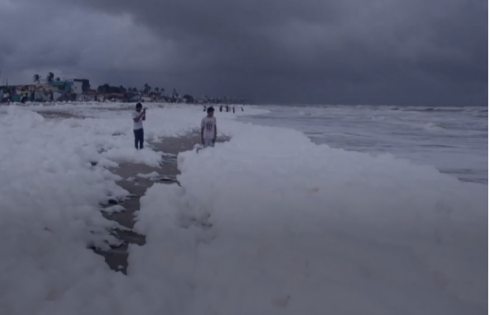 Choc in India, onde di schiuma velenosa - VIDEO