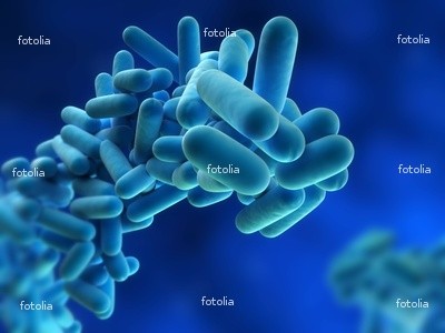 legionella