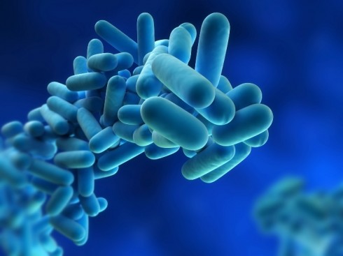 Allarme legionella a Bresso, il numero dei contagiati sale a 40. 