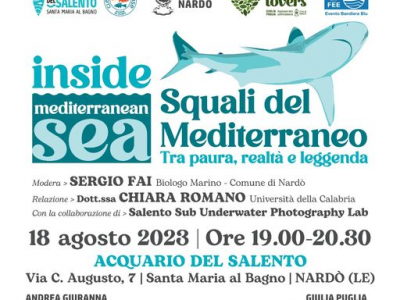 Squali del mediterraneo tra paura realtà e leggenda