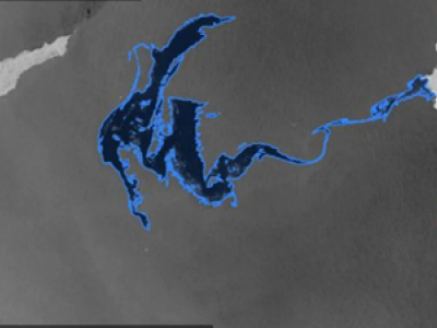 Verso un disastro ecologico nel Mediterraneo? 