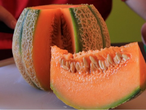 melone cantalupo