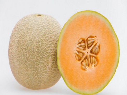 meloni cantalupo