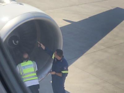 Aereo risucchia stormo di uccelli, danni al motore e rientro in aeroporto. Cancellato volo Atene-Zurigo