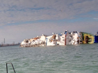 Romania, nave con 15mila ovini si ribalta nel porto, strage di pecore nel Mar Nero  - Video 