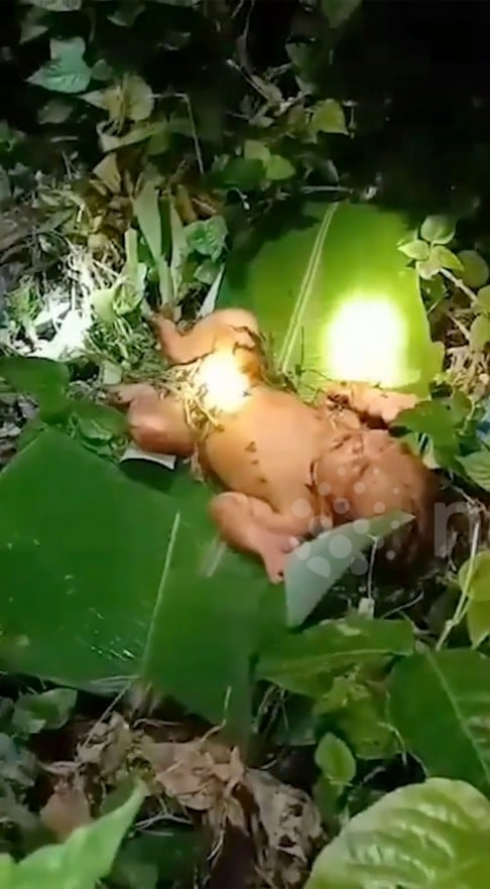 Miracolo di Natale: bimba abbandonata in una remota foresta thailandese (VIDEO)