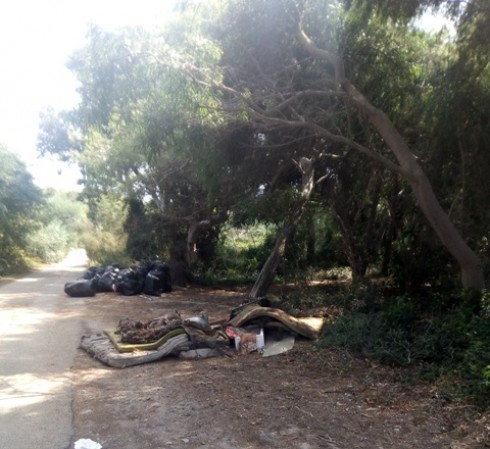 Vecchia pineta di San Cataldo di Lecce. I volontari la ripuliscono e nessuno dell’amministrazione passa a ritirare i rifiuti