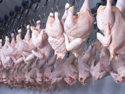 335 casi di Salmonella Enteritidis legati alla carne di pollo in 14 Paesi.