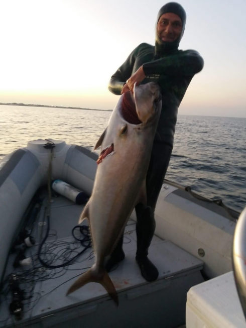 Pescata ricciola di 37 Kg a San Cataldo