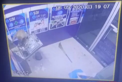 Assalto al Bancomat....... ma il criminale è una scimmia. Il video