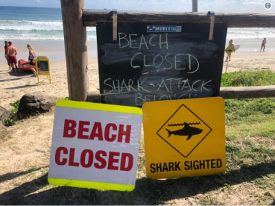 Squalo attacca surfista, spiagge chiuse in Australia