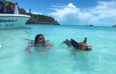 Bahamas. Studentessa 21enne divorata viva da tre squali sotto gli occhi dei genitori mentre fa snorkeling con i suoi cinghialini