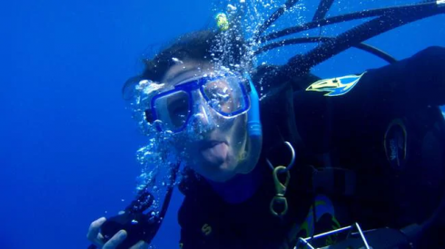 Turista schiacciata tra due balene durante l'immersione in Australia Occidentale. 