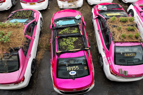 Thailandia: piccoli mini orti spuntano sui tetti di taxi. 