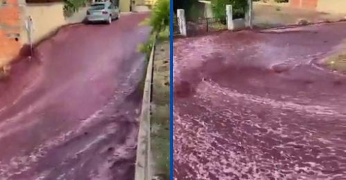 Fiume di vino inonda le strade della piccola città di São in Portogallo