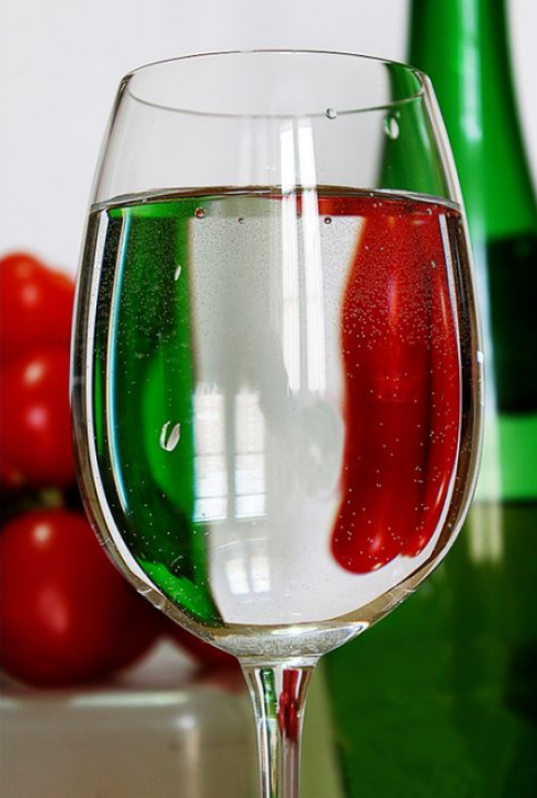 Made in Italy e vini italiani da tutelare. Condannato il venditore di wine kit con nomi di vini italiani se non può provare che il mosto proviene da vitigni nostrani. 